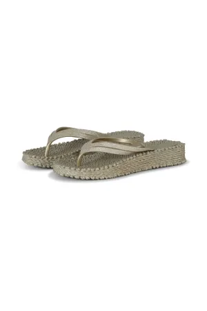 Cheerful Platform Flip Flops In Platinum